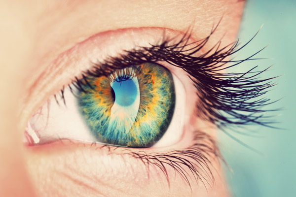 closeup shot macro of a bright blue and green eye with long eyelashes